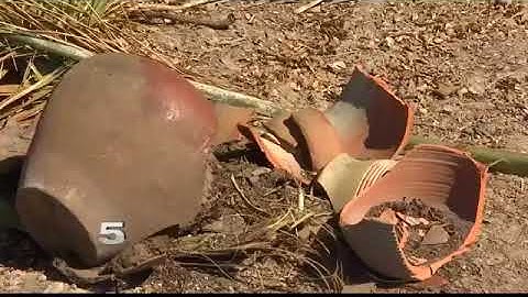 McAllen Code Enforcement Officers Battling Illegal Dumping Issue