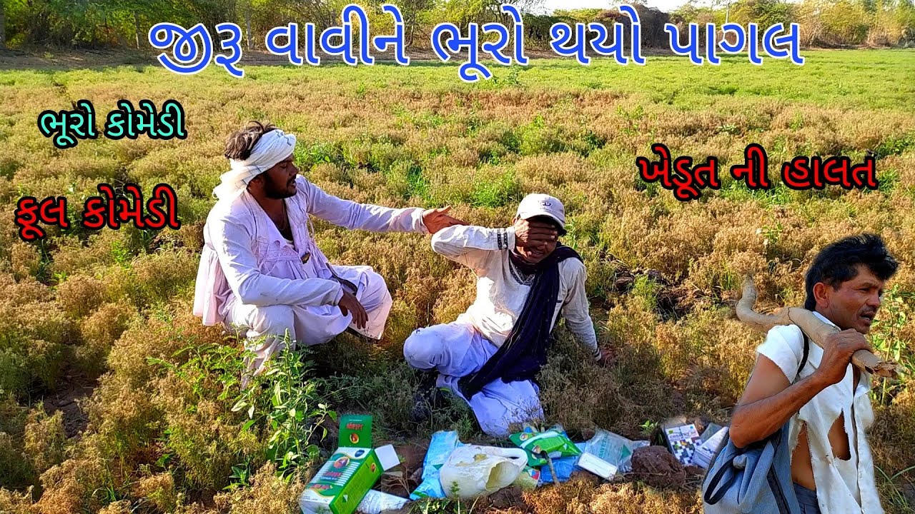 જીરૂ વાવીને ભૂરો થયો પાગલ |bhurocomedy|gujaraticomedy|bccomedy