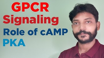 Cell signaling: GPCR Signaling "Role of Adenylyl cyclase, cAMP, PKA"