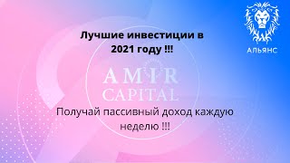 Amir Capital - лучшие инвестиции в 2021 году / инвестиции для начинающих / инвестиции в криптовалюту