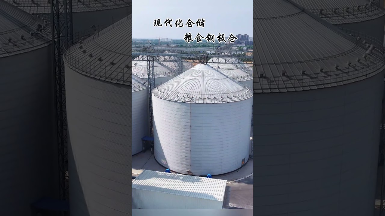 Steel Silo Cost Configuration List and Intelligent Application Analysis