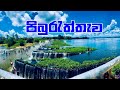 පිබුරැත්තෑව කියන්නේ මෙච්චර ලස්සන තැනක්ද? | Polonnaruwa Travel Vlog #cashlife