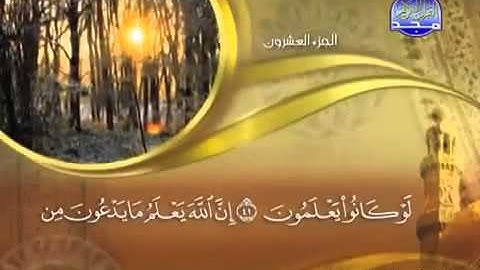 Surah Al Ankabut Maher Almuaiqly سورة العنكبوت ماهر المعيقلي