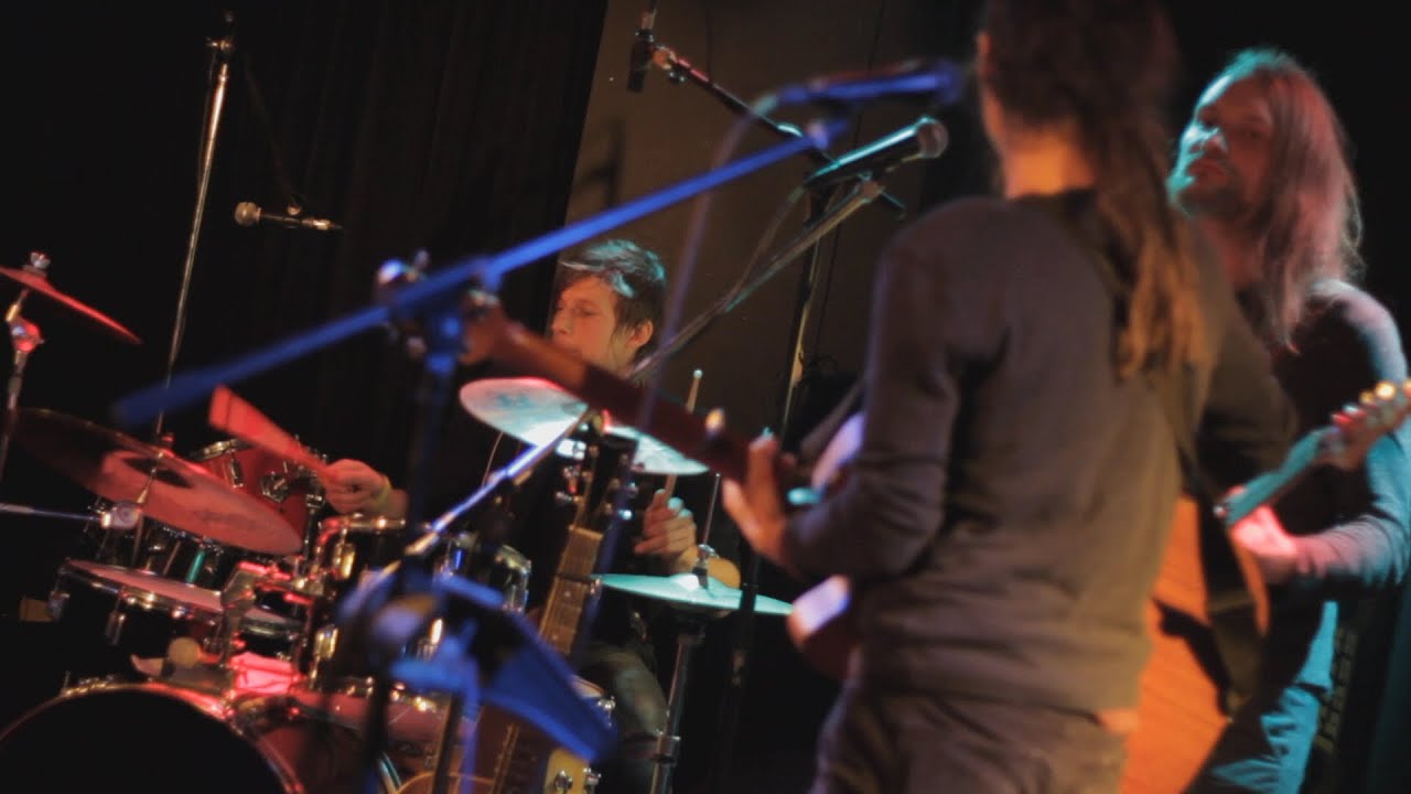 Inselflimmern - Grizzly's Garden