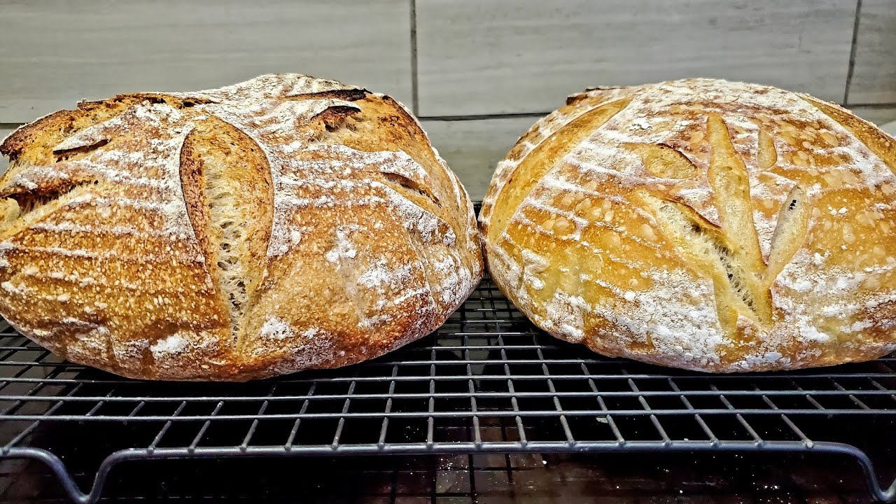 White Vs Whole Wheat Sourdough Experiment YouTube White Vs Whole Wheat Sourdough Experiment YouTube