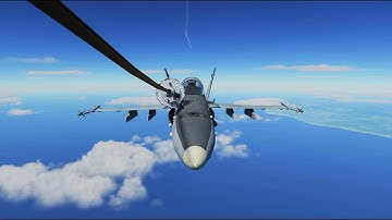 (Proof of Concept) One Year of Hornet School