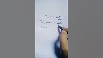 Draw lips easily from any angle front, side & Three quarter || How to draw lips #art #drawing