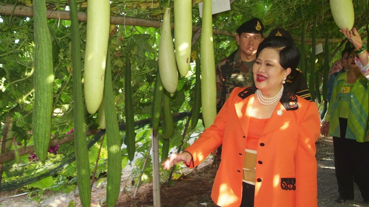 พระราชดำริและหลักการทรงงานในสมเด็จพระนางเจ้าสิริกิติ์ พระบรมราชินีนาถ พระบรมราชนนีพันปีหลวง