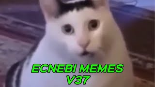 ECNEBI MEMES V37