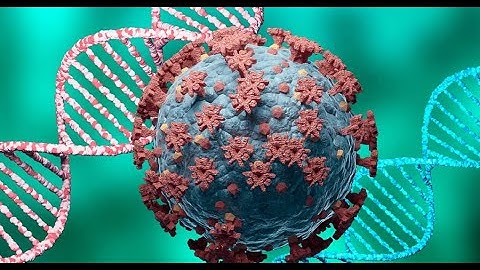 New COVID variant with high spike mutations detected in South Africa