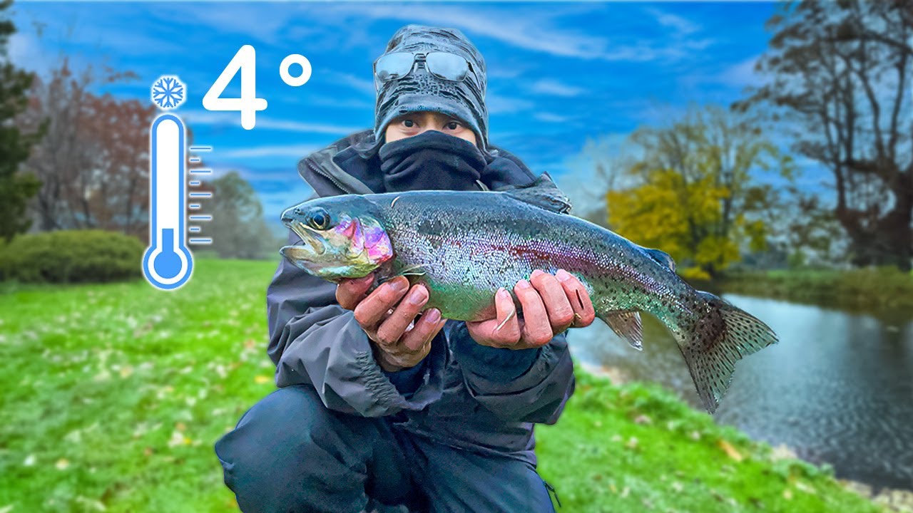 Fly Fishing For Trout Syon Park YouTube