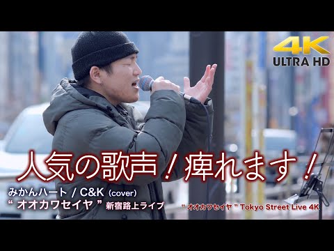 【 歌うま！】人気の歌声！痺れます！　みかんハート / C&K（cover） " オオカワセイヤ "  2022.4.2 新宿路上ライブ 4K映像