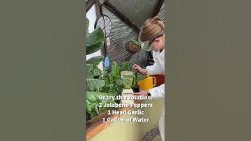 Ask an Expert - Episode #9 AHHH Aphids!