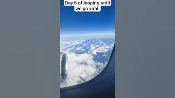 Day 5 of looping until we go viral. #looping #loop #plane #loops #addyalecworld