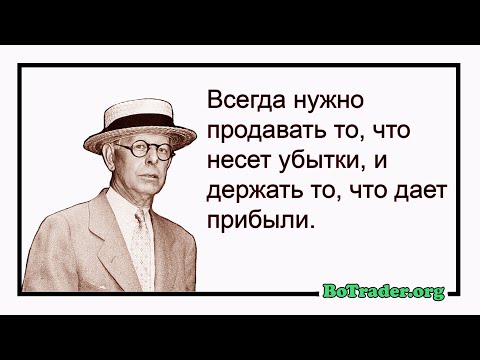 Видео: Мини Рикс заек