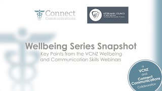 wellbeing series snapshot
