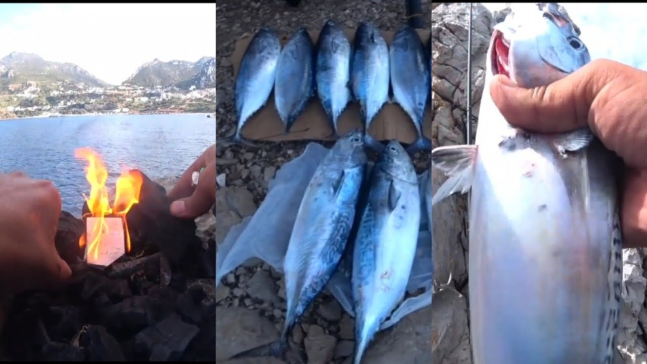 بداية الموسم لي صيد باكورة في #بليونش حصيلة ممتازة في اليوم الأول تبارك الله 2023#fishing #moroco