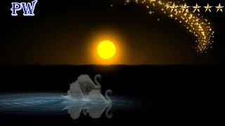 Лебеди в Ночном пейзаже