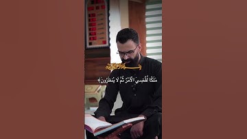 سورة الانعام اكتب شيءٍ تؤجر عليه