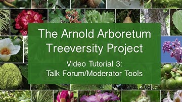 Video Tutorial 3: Talk Forum Moderator Tools