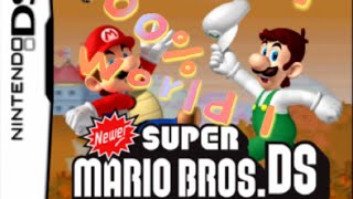Newer Super Mario Bros. DS World 1 (100%)