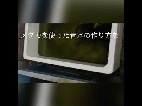 青水作り方 Youtube 青水作り方 Youtube