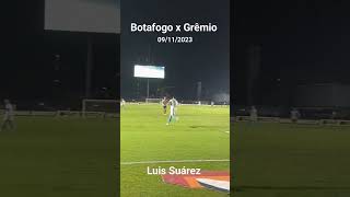 Gol de Suárez - Botafogo x Grêmio - 09/11/2023 - #shorts #grêmio #suarez