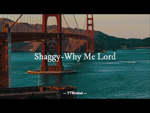 Shaggy - Why Me Lord (Lirik Lagu) class=