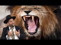 אור החיים הקדוש מלמד את הדרך לשנות לאשתך את הלב לא רק לאשתך לכולם אפילו לאריות בספארי מדהים אור החיים הקדוש מלמד את הדרך לשנות לאשתך את הלב לא רק לאשתך לכולם אפילו לאריות בספארי מדהים