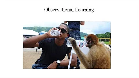 Observational Learning