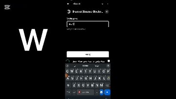 Blum at Binance Blockchain Week, October 30, 2024. Overview