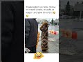 🤣🤣🤣 #юмор #смех #прикол