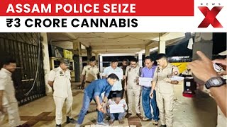Assam Drug Bust: Assam Police Seize ₹3 Crore Cannabis in Mazbat; CM Himanta Sarma Warns Traffickers