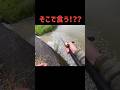 【ガリガリの50upが腹減りすぎて2度食い】バス釣り