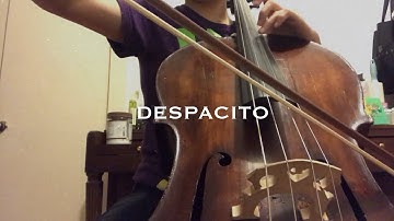 Luis Fonsi - Despacito ft. Daddy Yankee (cello cover) -Sarang Han