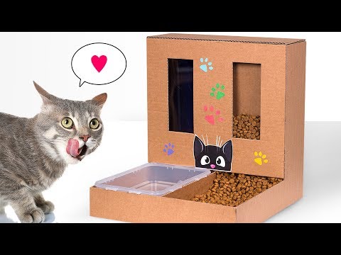 Diy Cat Food Dispenser From Cardboard At Home Youtube