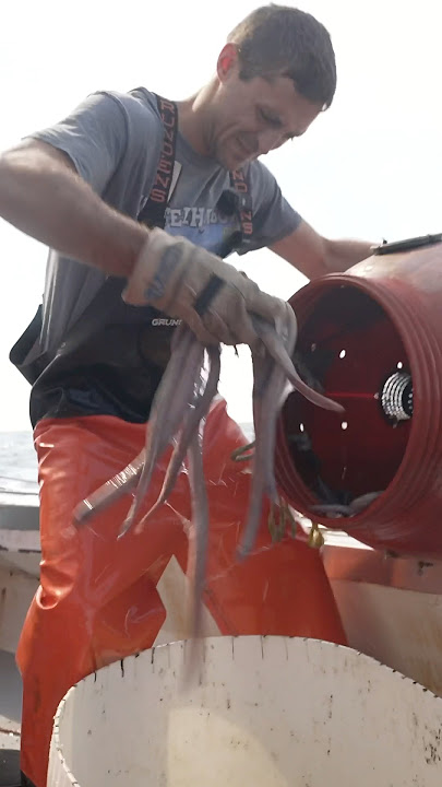 Slime Eels are way creepier than we thought #seafood #maine #interesting #learn #slimeeels #fishing
