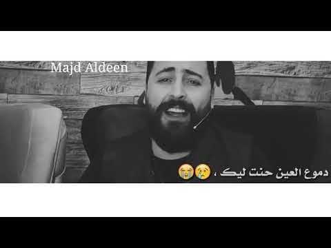 زهور البيت حسام اللباد
