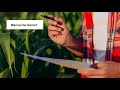 Aprenda a instalar o Mulching de forma eficiente