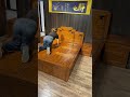 😱 Man Hides Inside This Bed! Ultimate Compact Storage Hack ️ #tiaro #home #furniture #youtubeshorts