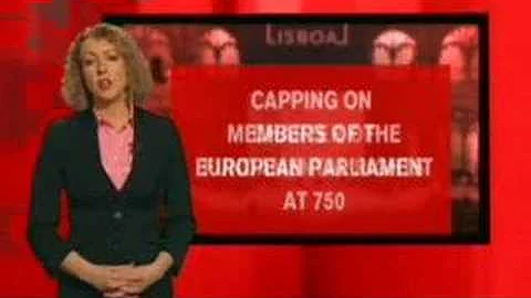 Karen Coleman report on the Lisbon Treaty
