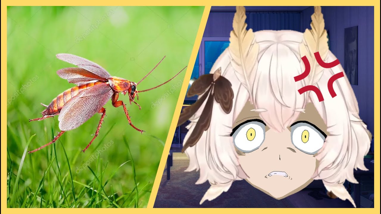 Yuzu FIGHTS a ROACH