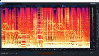 Cautosome - Vautardri membrane (Spectrogram)