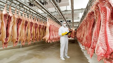 Inside a Modern Pork Factory: From Factory to Prosciutto Crudo – The Entire Process You Must See!