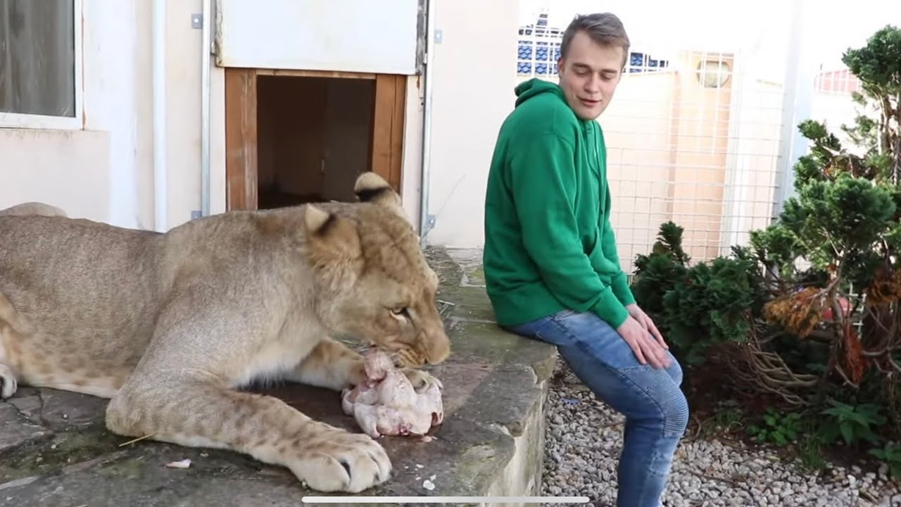 VÉMOLA A JEHO HOUSE TOUR + HROTY S OKTAGONEM