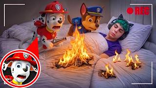Chase e Marshall dei PAW PATROL ENTRANO in CASA MIA nella Vita Reale! (Telecamere nascoste)