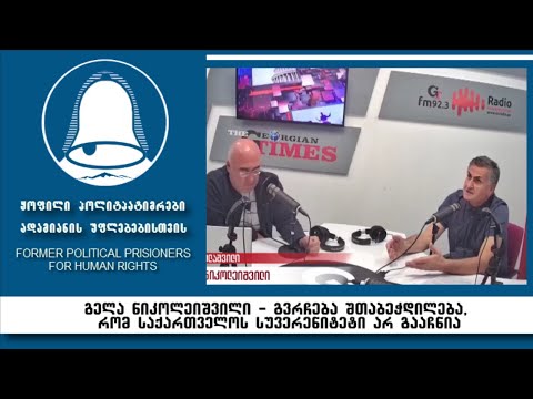 უფლებადამცველი გელა ნიკოლეიშვილის პოზიცია