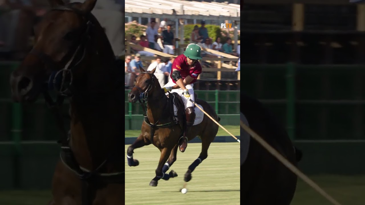 PoloLine TV -