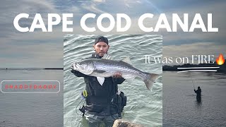 The Lure that Keeps on Giving | GIANT STRIPED BASS FISHING