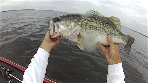 Bass Fishing Toledo Bend May 12 2015